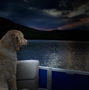 Meet your Posher, Jane